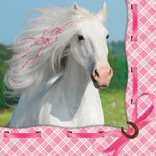 Heart My Horse Napkin ?