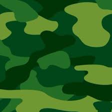 Army Camouflage Napkins
