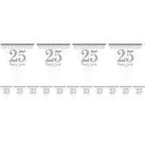 Sparkling Silver Anniv. Prismatic Pennant
