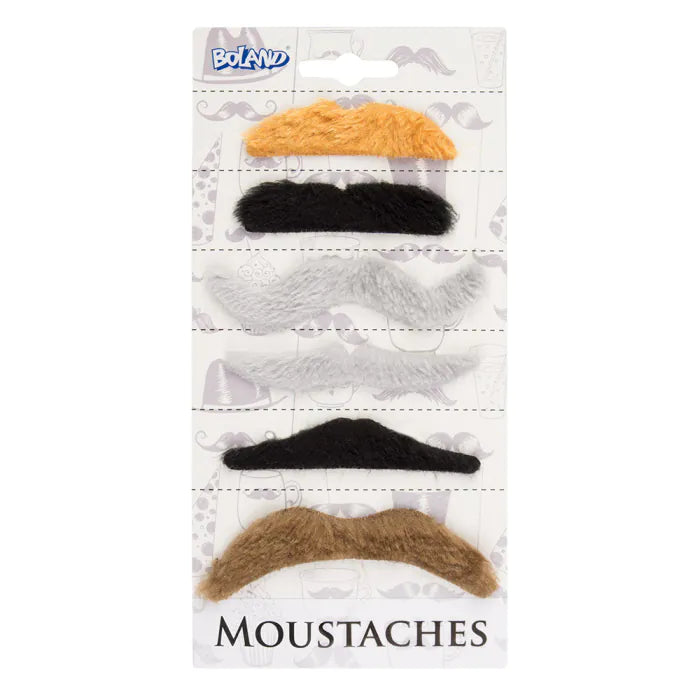 Set 6 moustaches Natural