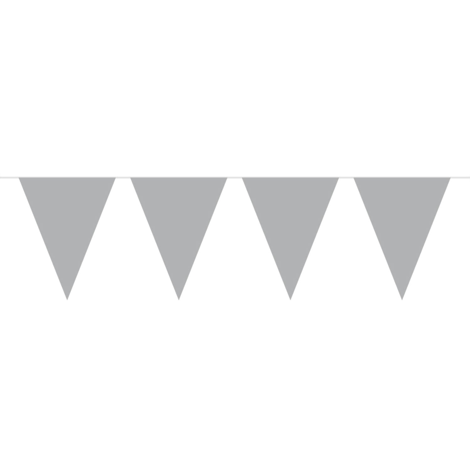 Bunting Garland Plain Silver - 10 m