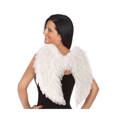 ANGEL WINGS 54X40CM