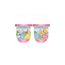 Disney Princess Journey Banner