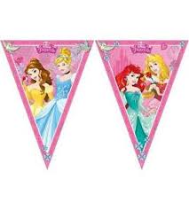 Princess Disney Bunting 2.3mtrs