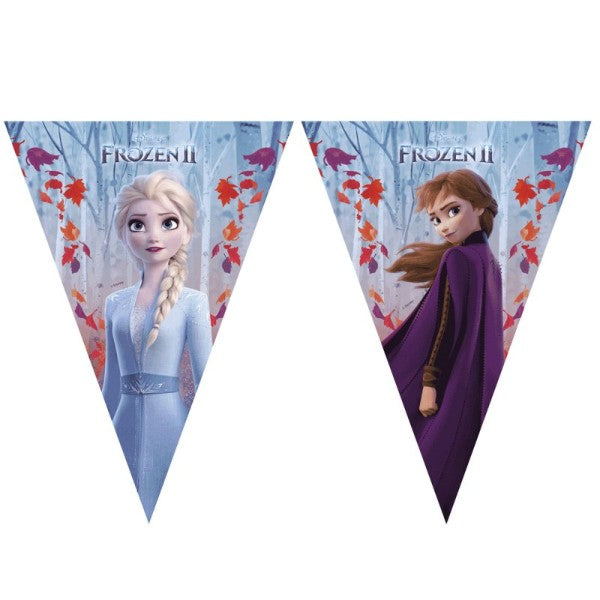 Disney Frozen 2 Birthday Flag Banner