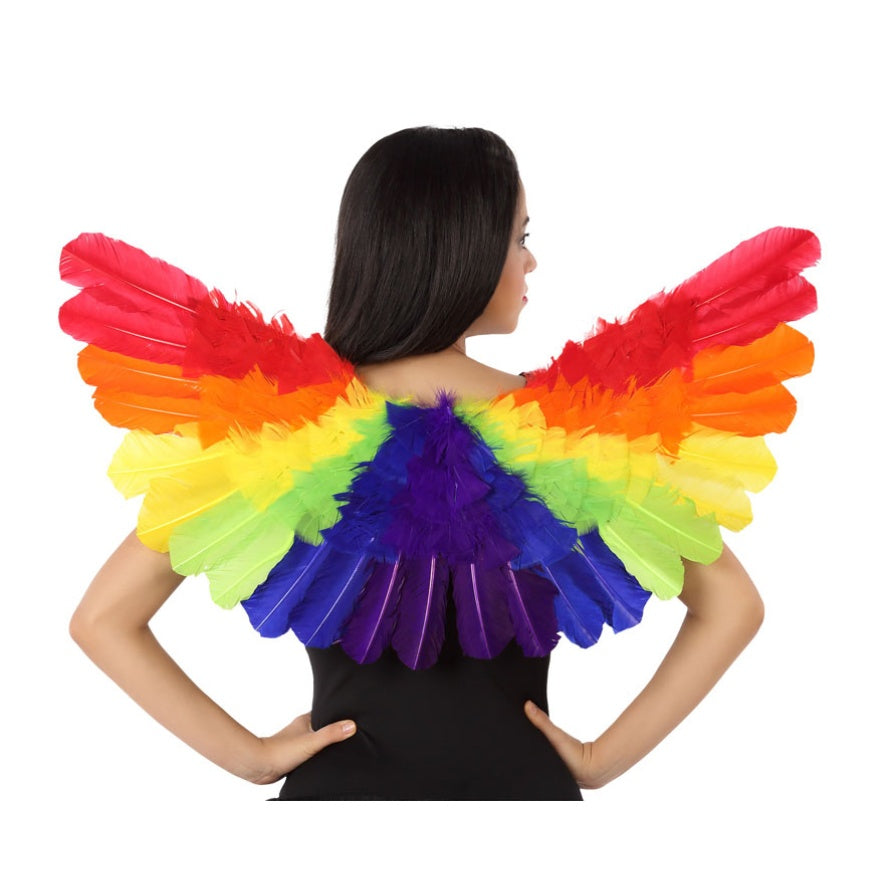 Rainbow Wings