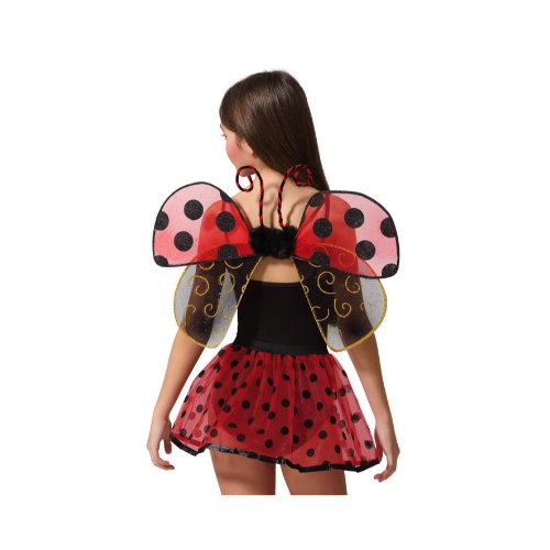 LADYBIRD WINGS SET