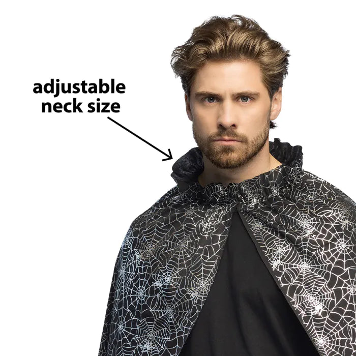 Cape Spider
