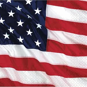 Napkin FLYING COLOURS USA