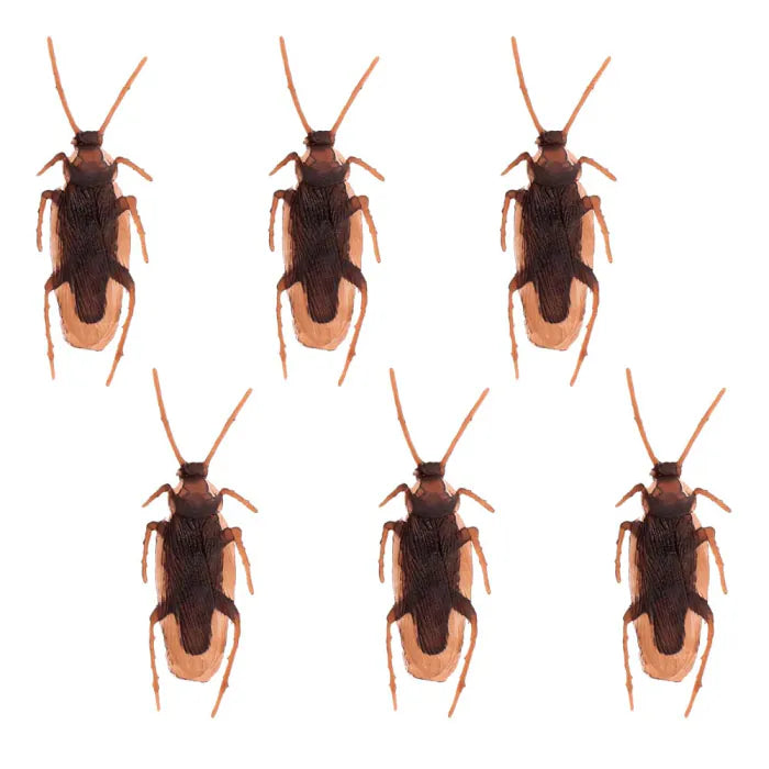 Set 6 cockroaches