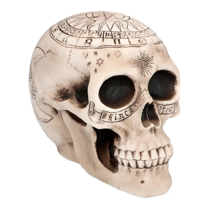 Skull Astronomy