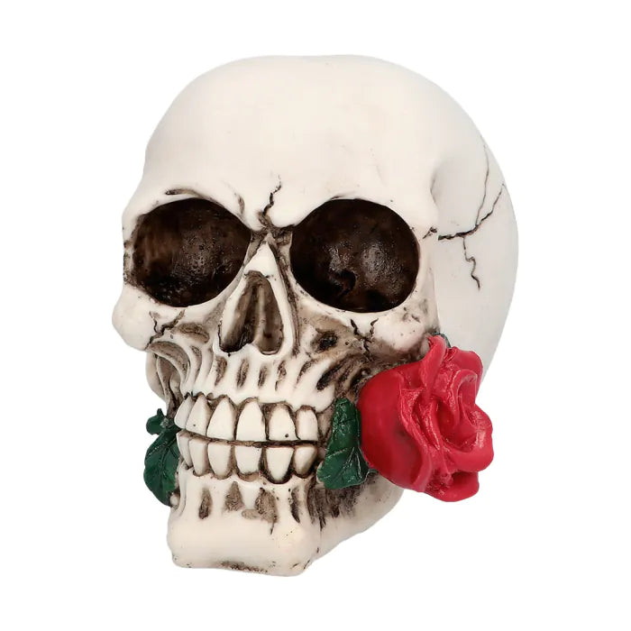 Skull Casanova