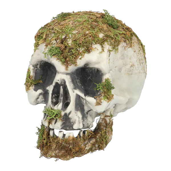Skull Swamp