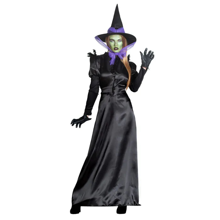 Adult costume Raven witch (M/L)