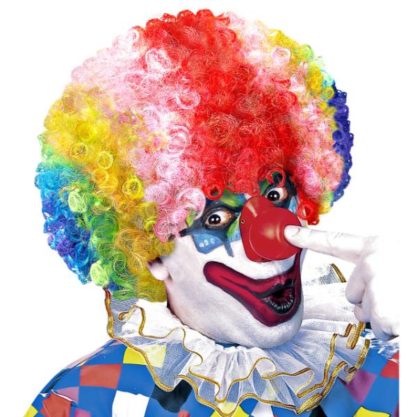 Multicolor Clown Wig