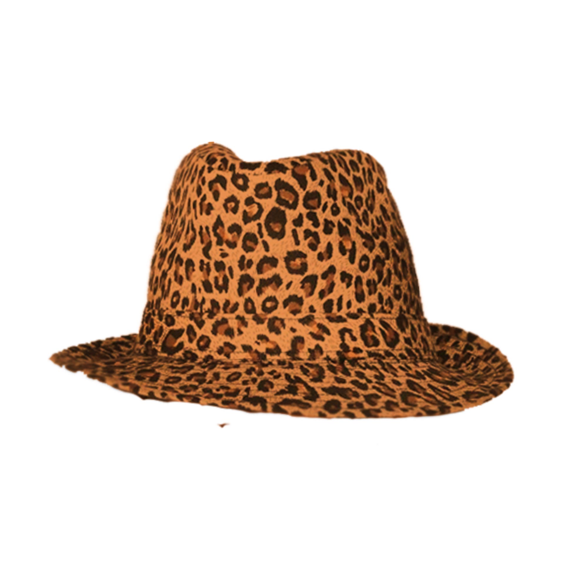 Leo Party Hat