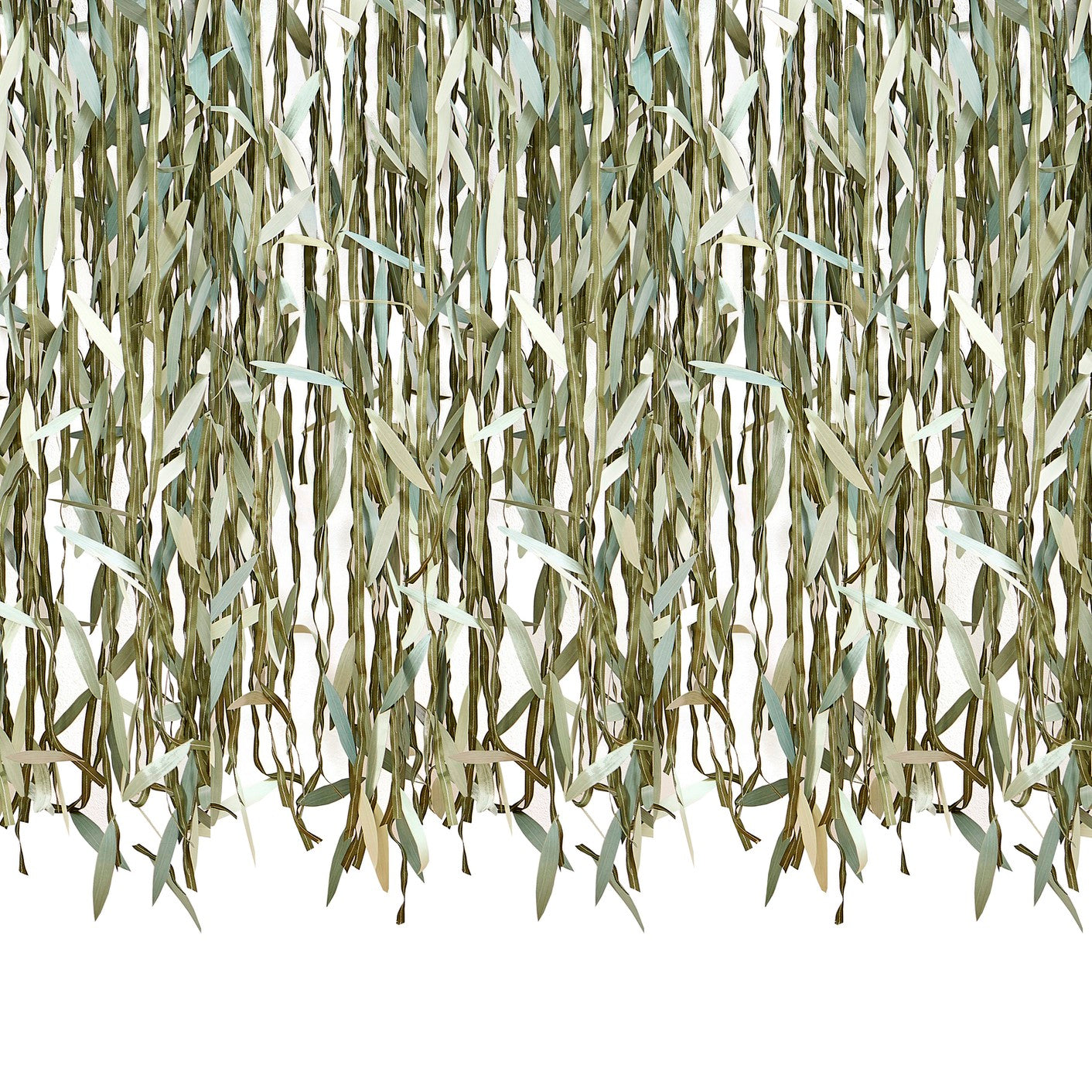 Botanical Baby - Leaf Ribbon Backdrop