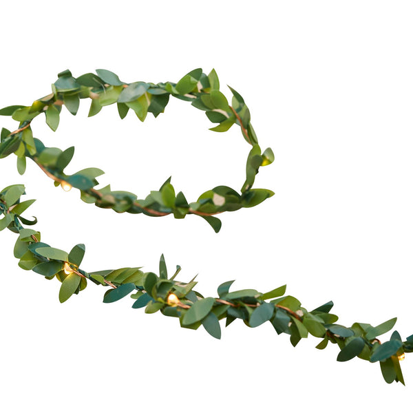Rustic Country - String Lights - Foliage