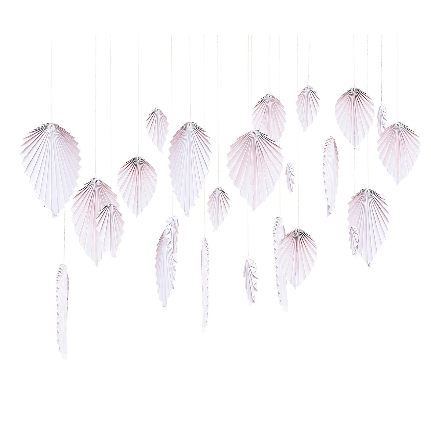 A Touch of Pampas - Backdrop - Palm Leaf Fans - Blush