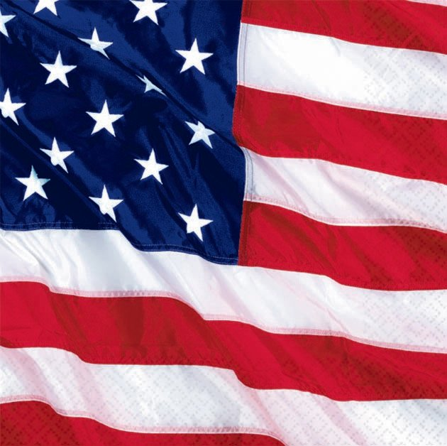 Napkins 25x25 America 16 pcs